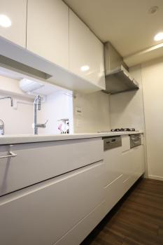 食器洗乾燥機、ディスポーザー付きキッチン