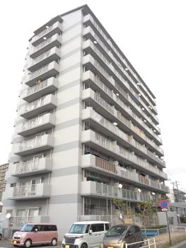 南西方向からの外観