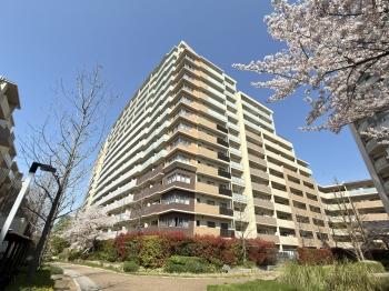 総戸数187戸　2007年3月築のマンションです。