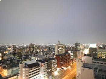 南東向きバルコニーからの眺望。（眺望は永続的に保証されるものではありません。）