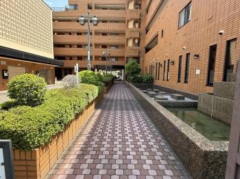 インターロッキング舗装と手入れされている植栽
