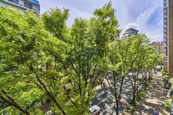 バルコニーからの眺望　永続的に保証されません