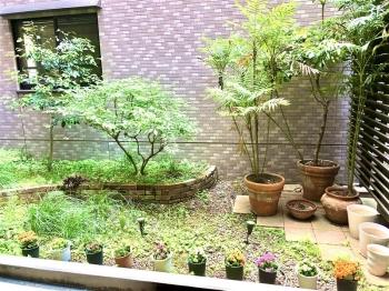 緑豊かな植栽が出迎えるエントランス先の空間