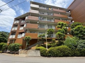 5階建て