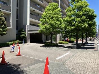 緑豊かな植栽が彩るエントランスアプローチ