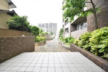 アプローチ