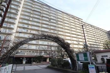 地上１４階建てのマンションです