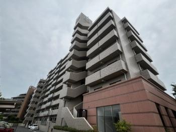 １９９５年築総戸数８１戸