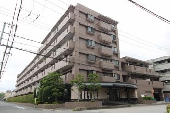 1996年8月築　総戸数74戸