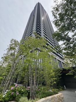 地上46階建、総戸数500戸のタワーレジデンス