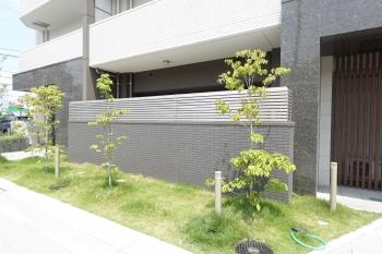 外からのテラス前