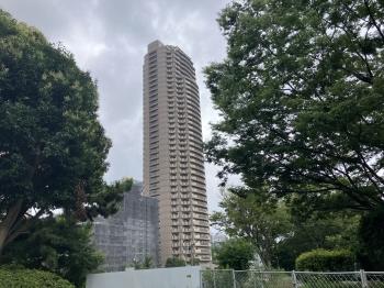 現地外観　横十間川リバーサイドに佇む　ツインタワー