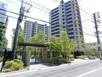 敷地西側からの様子