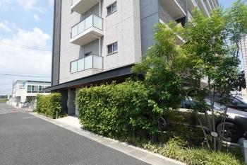 敷地内は植栽により緑で溢れています