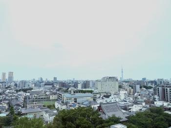 リビングダイニングからの東方向眺望