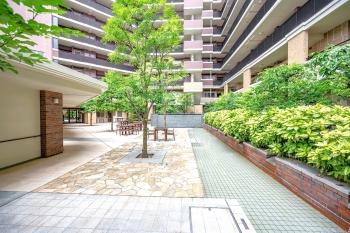 敷地内には緑のある広場があり、のびのびとお過ごしいただけます