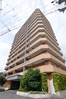 総戸数54戸、地上14階建ての鉄筋コンクリート造です