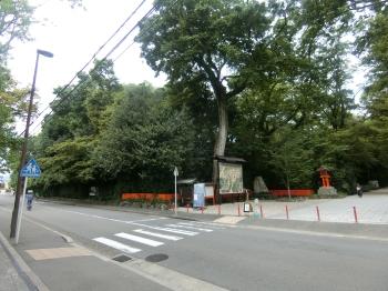 北側前面道路と周辺環境