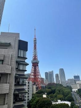 バルコニーからの眺望　（眺望は永続的に保証するものではありません）