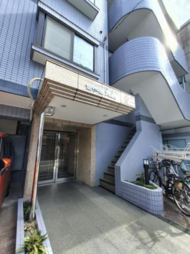 2025年6月29日撮影