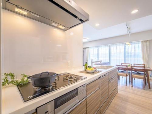 食器洗浄乾燥機付き。2550mmサイズ