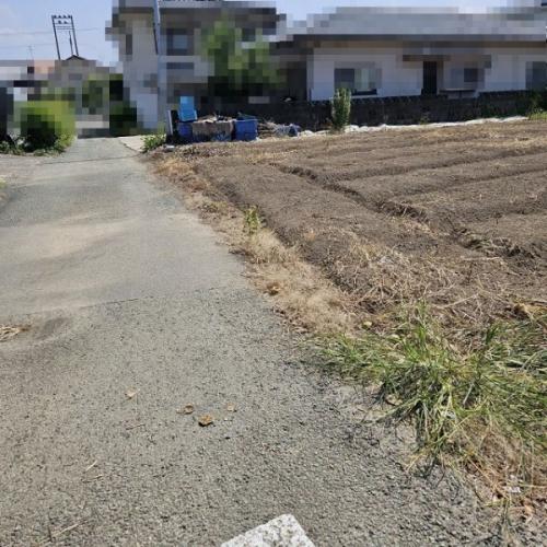 東側里道から 東側里道から