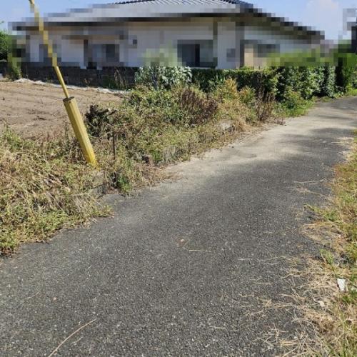 西側里道から 西側里道から