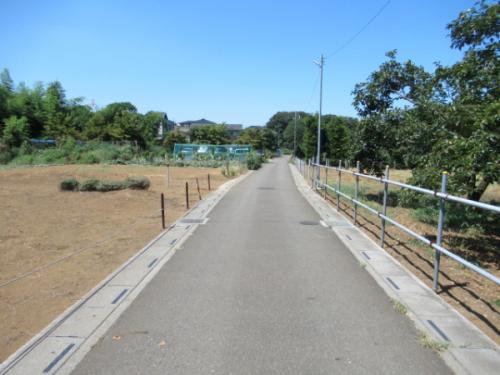 前面道路2 前面道路2