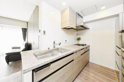 システムキッチン（ビルトイン食洗器、ディスポーザー）