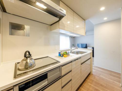 カウンタータイプのキッチン。IHクッキングヒーター、食器洗浄乾燥機付き。