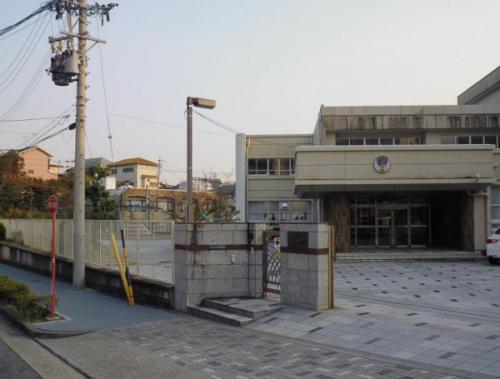 自由ケ丘小学校 240m