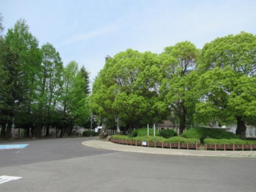 青木町公園２　約170ｍ