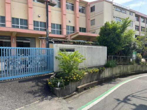 柏原市立国分小学校