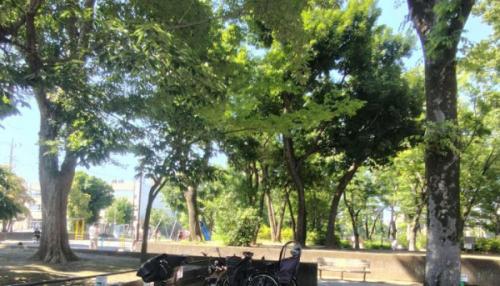 徳丸ヶ原公園 130m