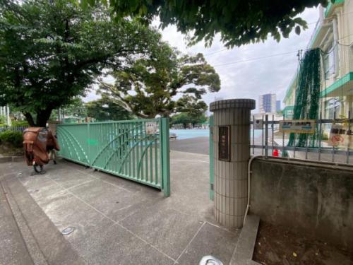 豊島区立西巣鴨小学校 50m
