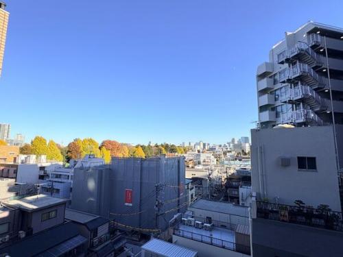 リビングからの眺望です。新宿御苑の緑を望めます。