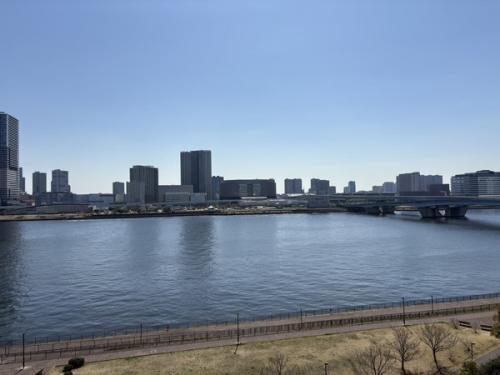 南向きにつき、眺望・日照良好。