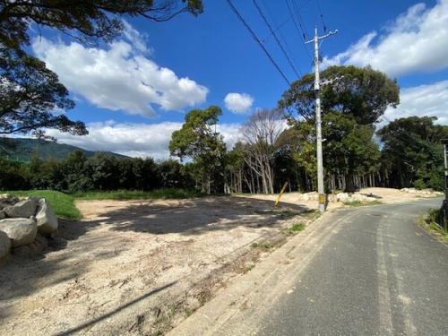 南東側道路より撮影