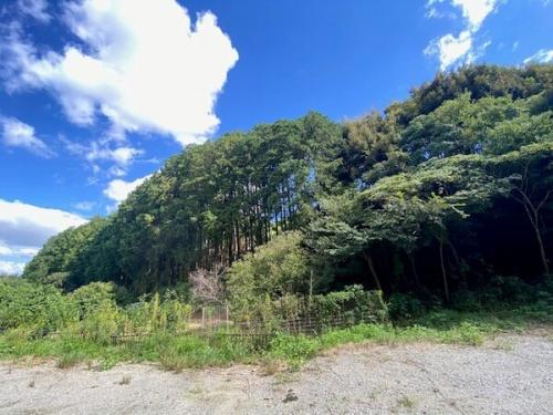 砂利敷部分及び畑部分は対象不動産に含まれません。