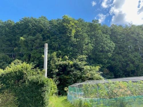 畑部分は対象不動産に含まれません。