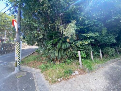 北側道路より撮影