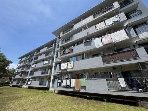 現地南側からの撮影です。