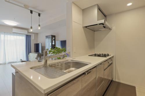 ディスポーザー・食器洗い乾燥機・浄水器一体シャワー水洗設備あり