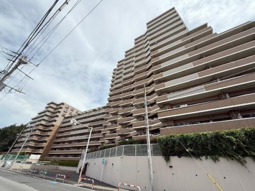 南西側より撮影