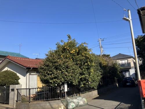 現地 南東側私道約4.0m 現地 南東側私道約4.0m
