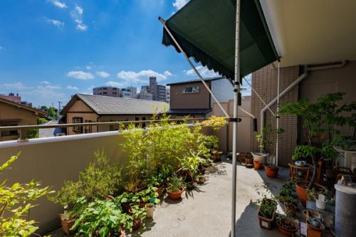 ※販売対象に家具・調度品は含まれません。