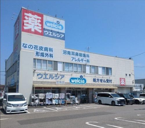 ウエルシア沼南店 約420m