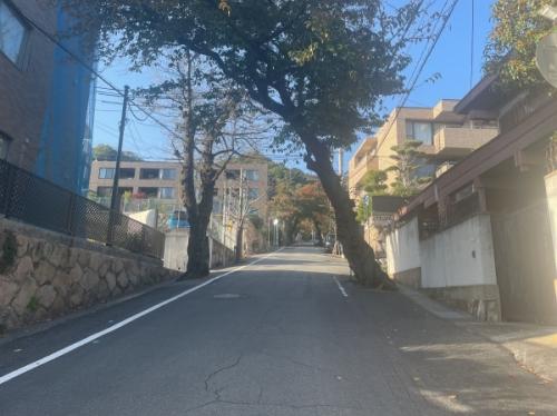 前面道路
