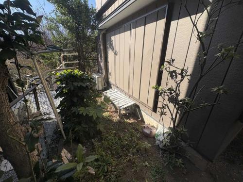 庭(撮影年月：2026年02月)