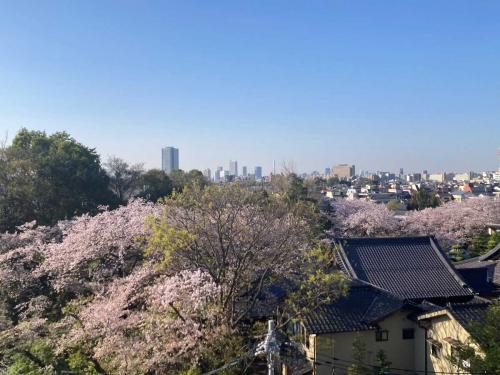 眺望（撮影年月：2025年04月）